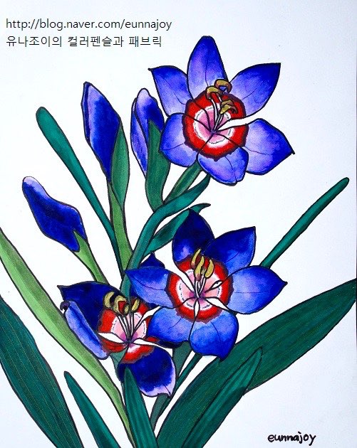 Gallery image 2